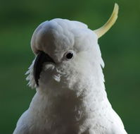 Around About Lorne Studios or BB - Tourism Brisbane