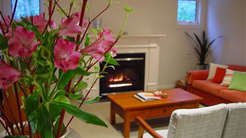 Around About Lorne Studios Or B&B - Brisbane 4u 4