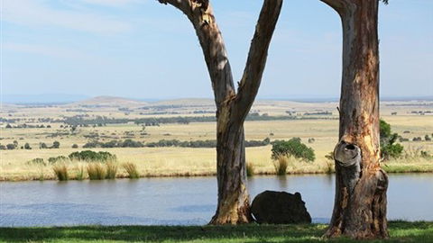 Tuki Trout Farm And Retreat - Brisbane 4u 3