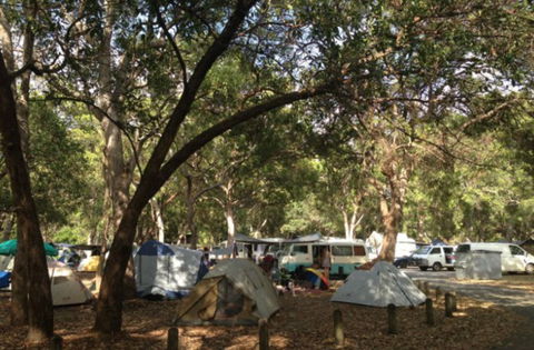 Adder Rock Camping Ground - Tourism Brisbane 0