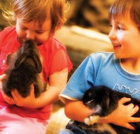 Macka's Farm - Brisbane 4u