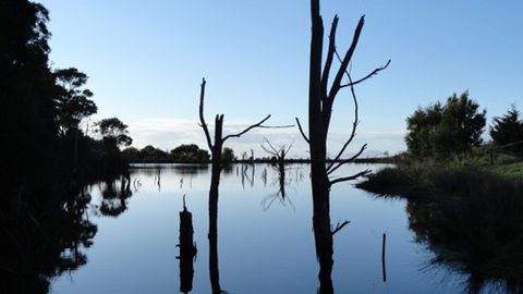 A Fare With Nature @ Prom Road Farm - Tourism Brisbane 6