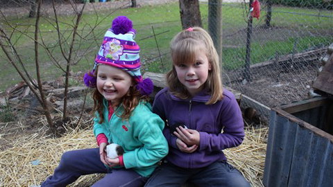 Fernleigh Farmstay & Bike Park - Tourism Brisbane 4