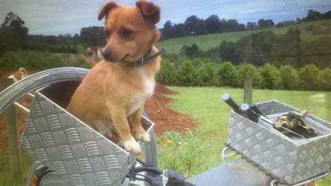 Farm Accommodation - Tourism Brisbane 1
