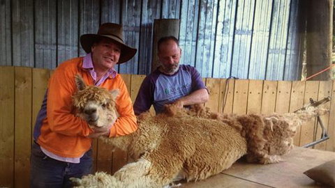 Farm Accommodation - Tourism Brisbane 3
