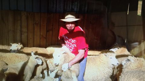 Farm Accommodation - Tourism Brisbane 2