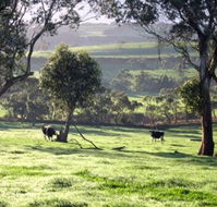 Bellevue Farmstay - Tourism Brisbane