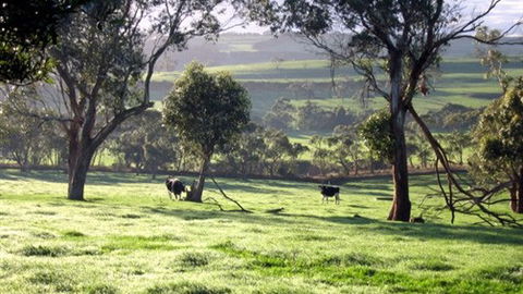 Bellevue Farmstay - Tourism Brisbane 0