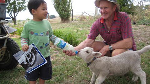 Bellevue Farmstay - Tourism Brisbane 1