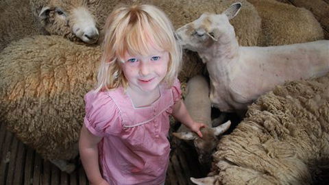 Bellevue Farmstay - Tourism Brisbane 4