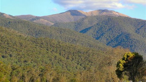 Mountain View Retreat - Tourism Brisbane 4
