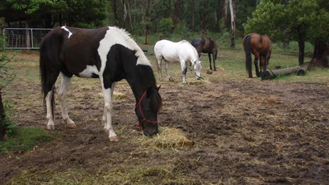 Buller Basecamp Retreat - Brisbane Tourism 4