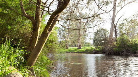 Lonsdale Park On The Yarra - Brisbane 4u 7