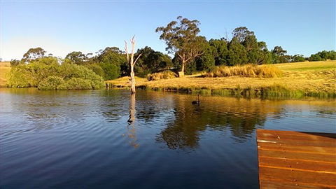 Cygnet Park Country Retreat - Tourism Brisbane 4