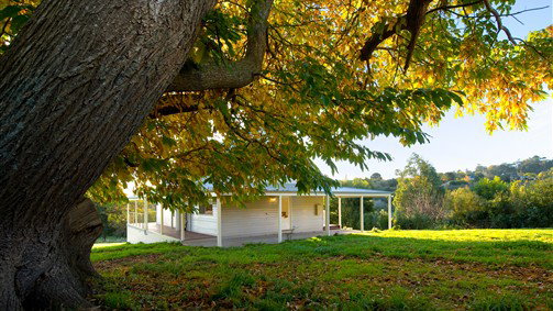 Daylesford VIC Tourism Brisbane