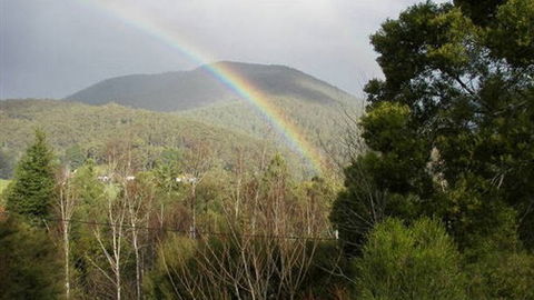 Wattletree Cottage - Tourism Brisbane 0