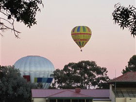 Barossa Valley Tourist Park - Tourism Brisbane 0