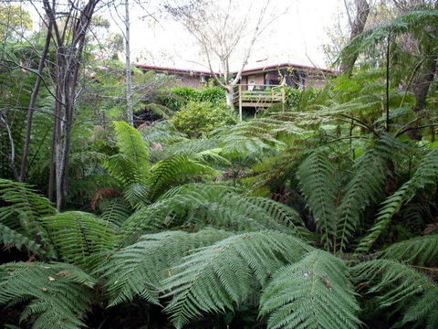 Adelaide Hills Bed & Breakfast Accommodation - Brisbane 4u 3