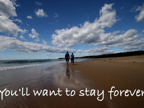 Beachcomber Holiday Park - Brisbane Tourism 1