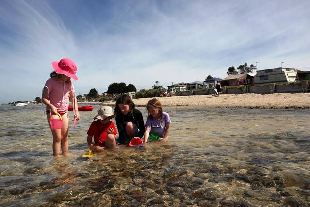 Indented Head VIC Tourism Brisbane