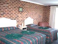 Big Trout Motor Inn - Tourism Brisbane 3