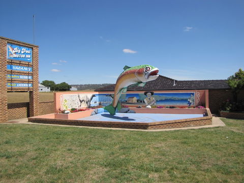 Big Trout Motor Inn - Tourism Brisbane 7