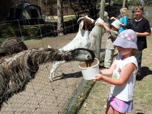 East Bairnsdale VIC Tourism Brisbane