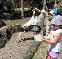 BIG4 Bairnsdale Holiday Park - Tourism Brisbane