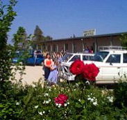 Boerbuck Country Motel  Host Farm - Tourism Brisbane