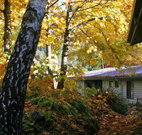 Bogong Village - Tourism Brisbane