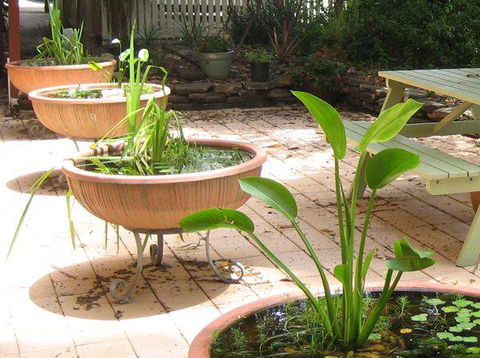Burwood Bed & Breakfast - Brisbane 4u 3