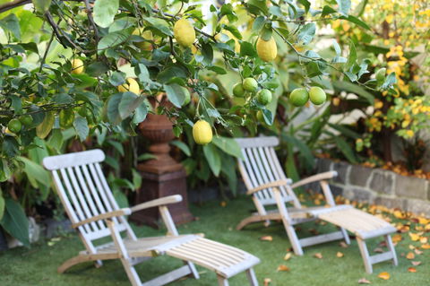 Captains Retreat B&B - Brisbane Tourism 1
