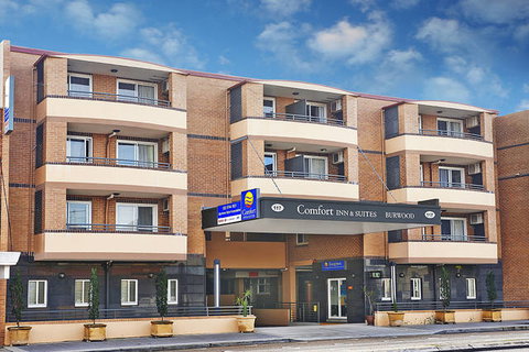 Comfort Inn And Suites Burwood - Tourism Brisbane 1