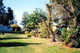 Condamine River Caravan Park - Tourism Brisbane 0