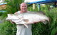 Conway Beach Tourist Park Whitsunday - thumb 4