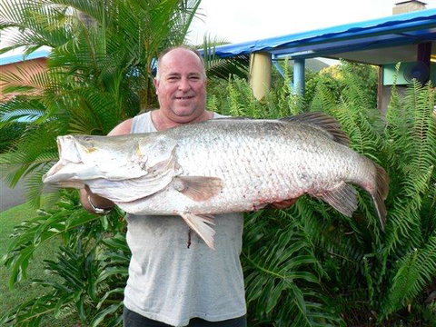 Conway Beach Tourist Park Whitsunday - Tourism Brisbane 4