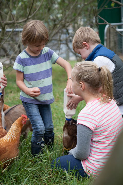 Lalee Farm - Tourism Brisbane 5