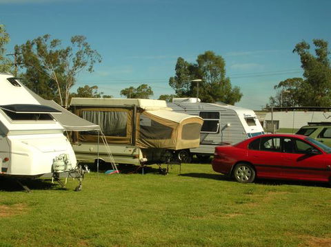 Crocodile Caravan  & Camping Park - Tourism Brisbane 0