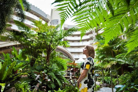 Double Tree - Tourism Brisbane 3