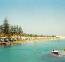 Dunleith Tourist Park - Brisbane Tourism
