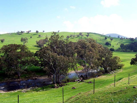 Elm Cottage - Tumut - Tourism Brisbane 4