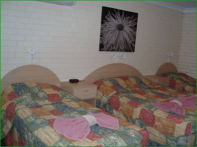 Manilla Motel - Tourism Brisbane 2