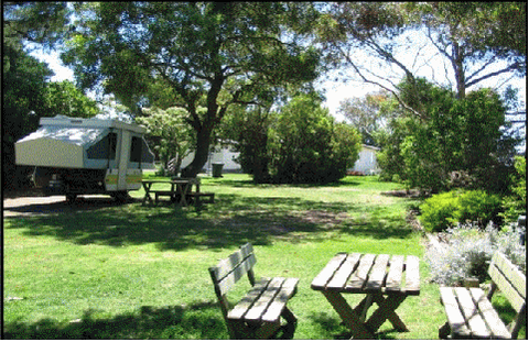 Millicent Hillview Caravan Park - Brisbane 4u 2