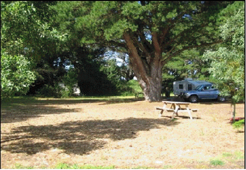 Millicent Hillview Caravan Park - Brisbane 4u 4