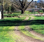 Mongans Bridge Camping Park - Tourism Brisbane