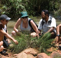 Nitmiluk Tours  Accommodation - Tourism Brisbane