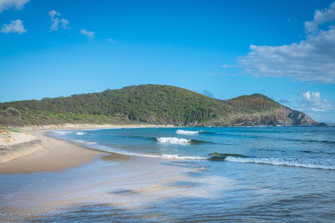Pacific Palms Resort - Brisbane 4u 9