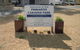 Pinnaroo Caravan Park - thumb 0