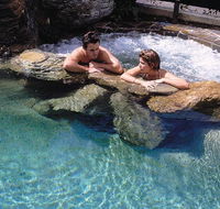 Reef Palms - Tourism Brisbane