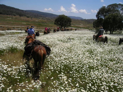 Reynella Kosciusko Rides Homestead - Tourism Brisbane 8